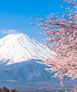 Tour Nhật Bản 5 ngày 4 đêm: HCM - Tokyo - Yamanashi - Núi Phú Sĩ