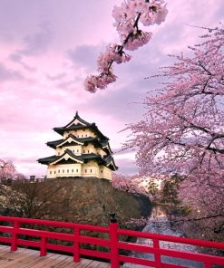 Hành Trình 5 Ngày 5 Đêm Từ Osaka Đến Tokyo